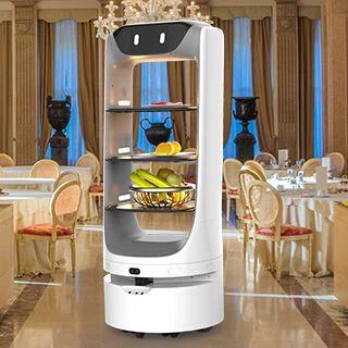 Autonomous Delivery Robot