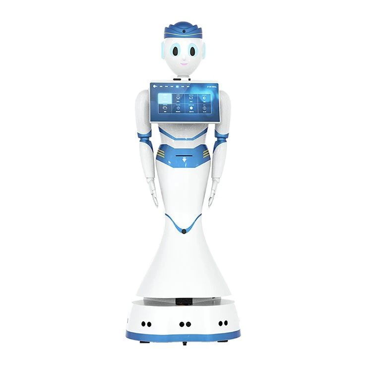 Interacció lingüística Robot de servei humanoide comercial